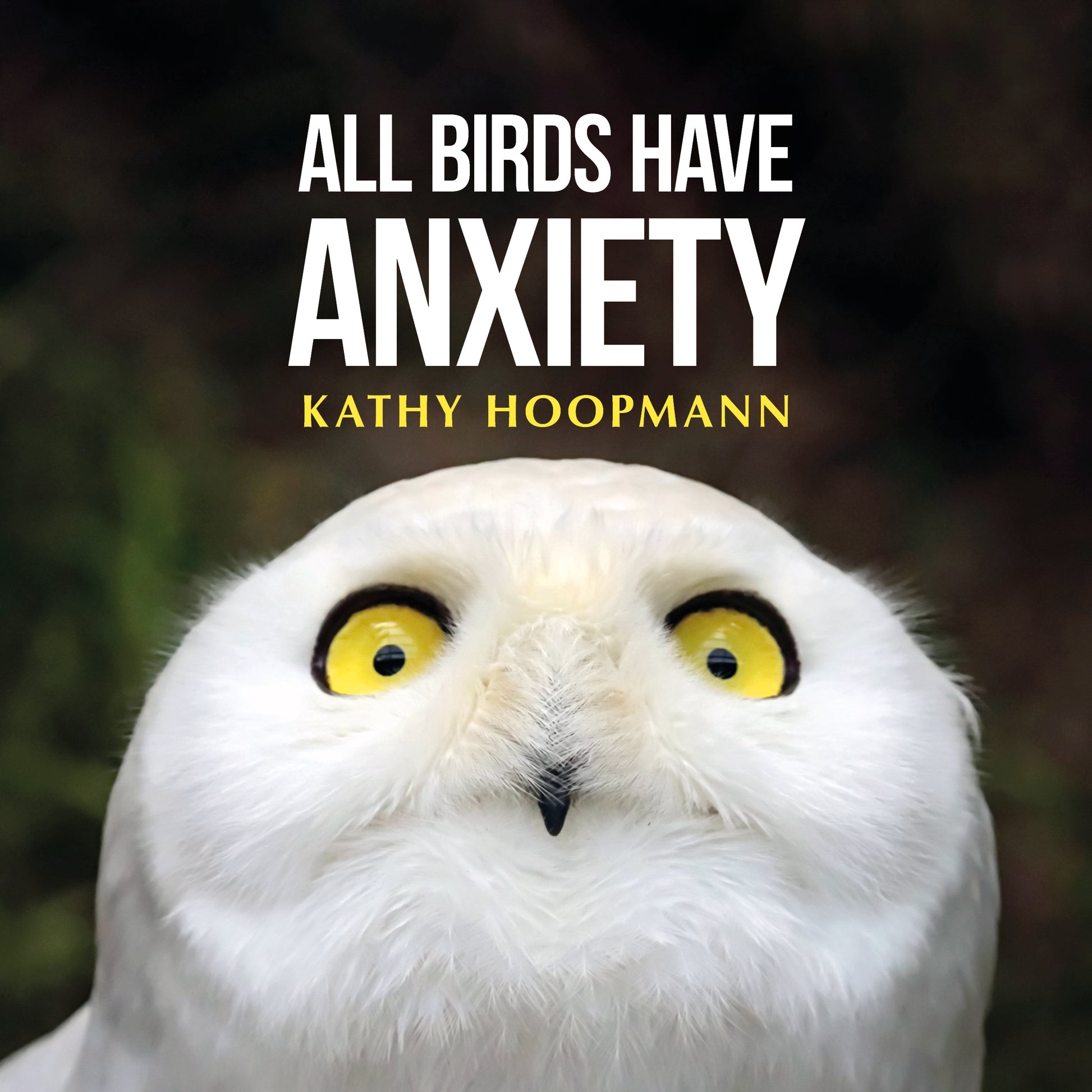 All Birds Have Anxiety by Kathy Hoopmann