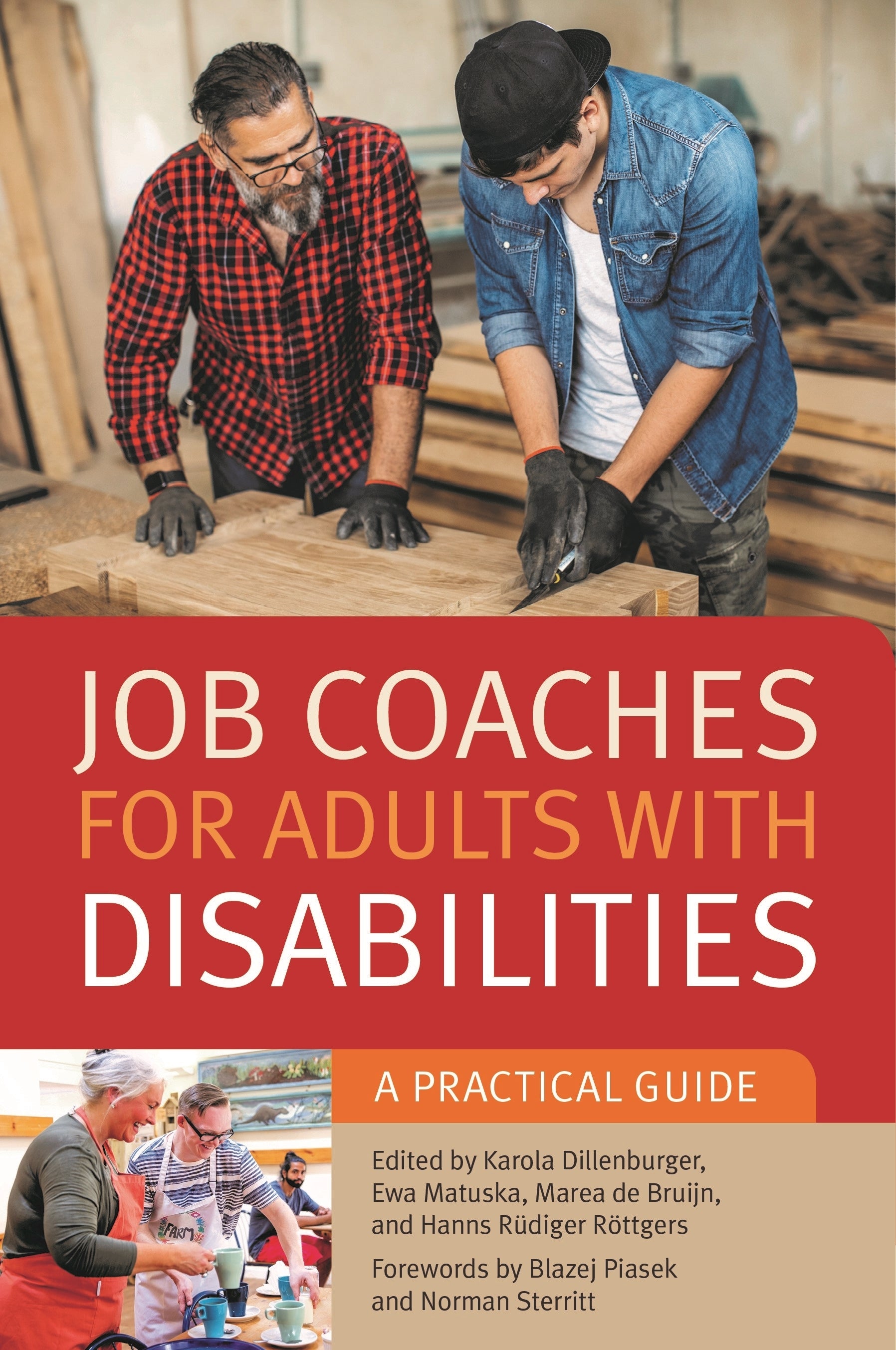 Job Coaches for Adults with Disabilities by Karola Dillenburger, Ewa Matuska, Marea de Bruijn, Hanns Rüdiger Röttgers, Blazej Piasek, Norman Sterritt, No Author Listed