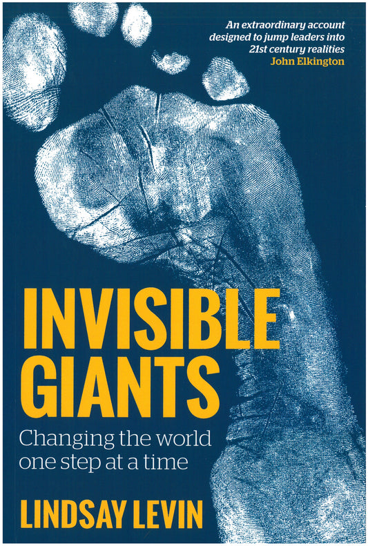 Invisible Giants by Lindsay Levin
