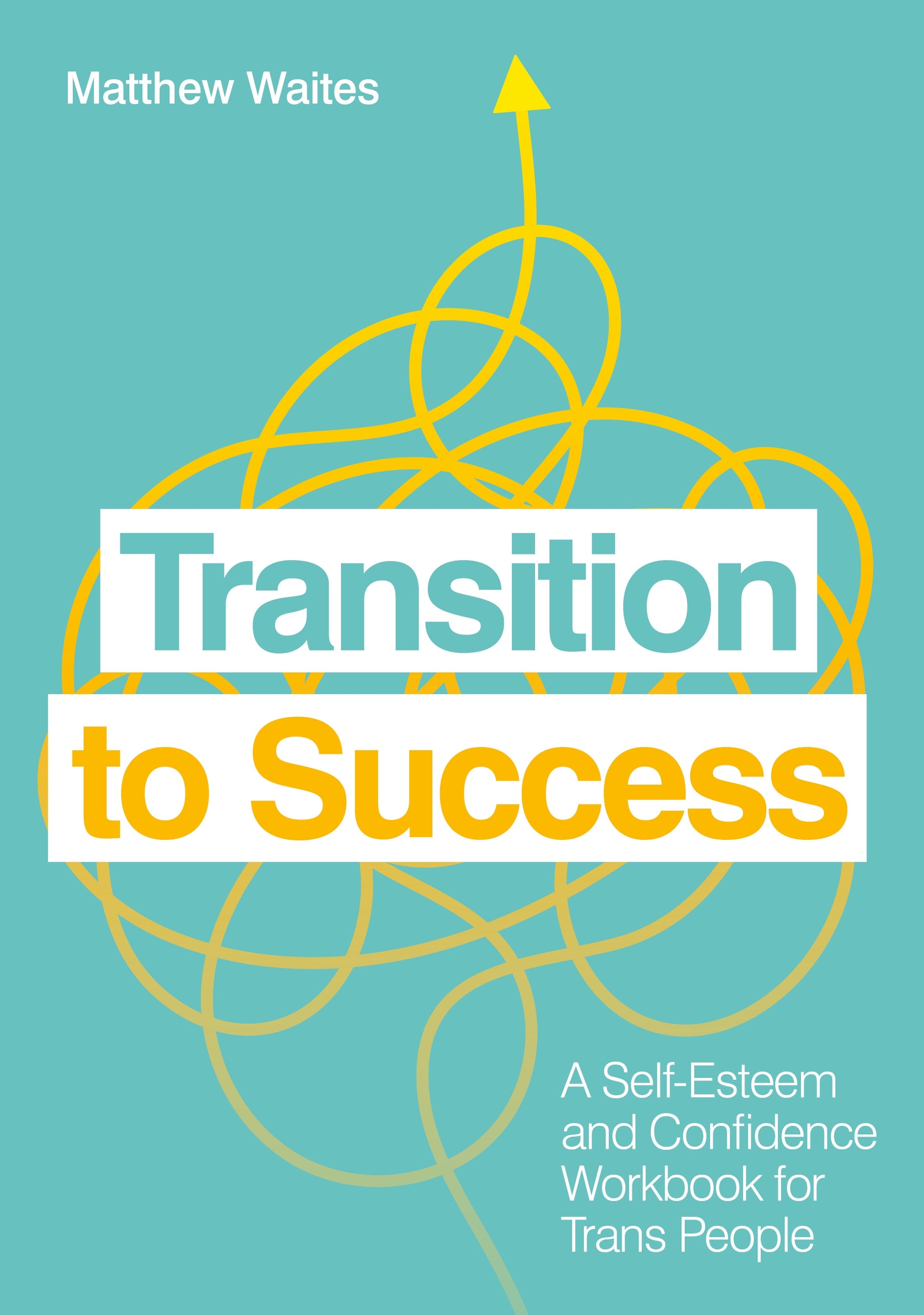 Transition to Success by Matthew Waites