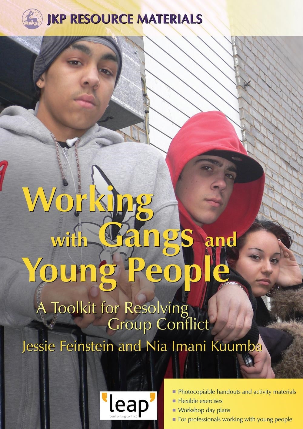 Working with Gangs and Young People by Imani Kuumba, Jessie Feinstein